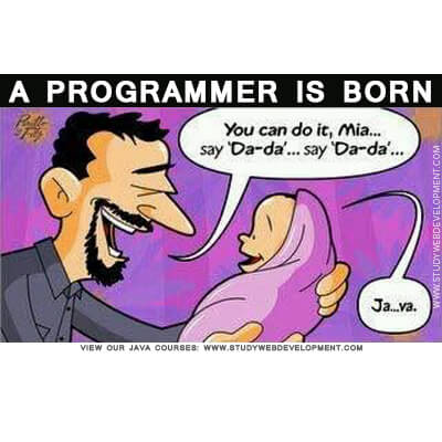 a-programmer-is-born
